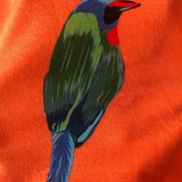 ASOS tropical Parrot print skater dress - Picture 4 of 4